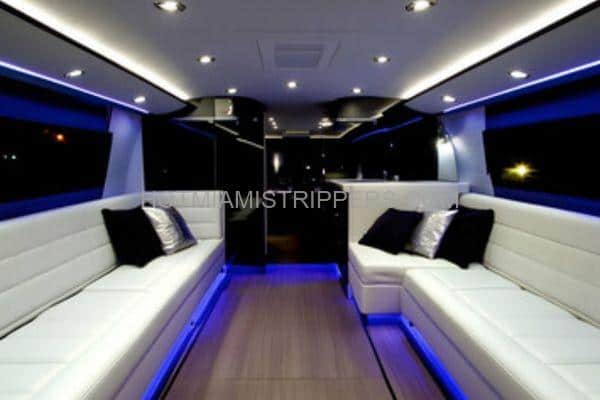 45-passenger Miami bachelor party bus
