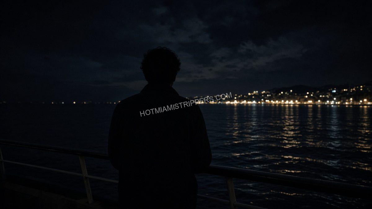 silhouette at a boat rail at night